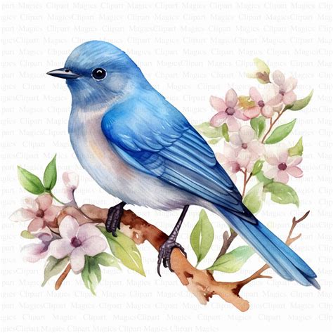 Blue Bird Clipart 5 High Quality JPGs Digital Download Wall Art Card ...