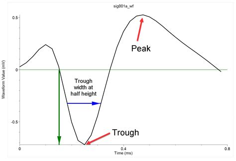 Waveform Comparison — NeuroExplorer 5.447 documentation