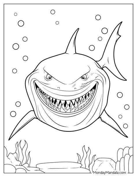 34 Shark Coloring Pages (Free PDF Printables)