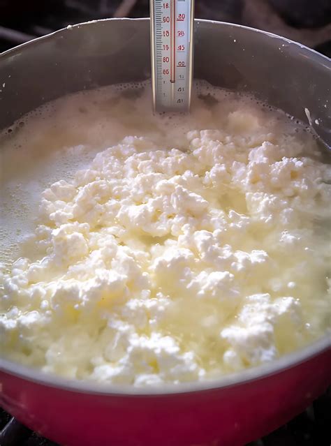 how to make cottage cheese