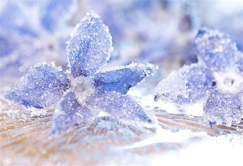 Image result for Crystal Flower Tutorial