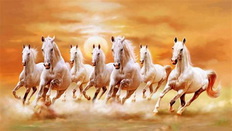 Running White Horse Wallpapers - Top Free Running White Horse Backgrounds - WallpaperAccess