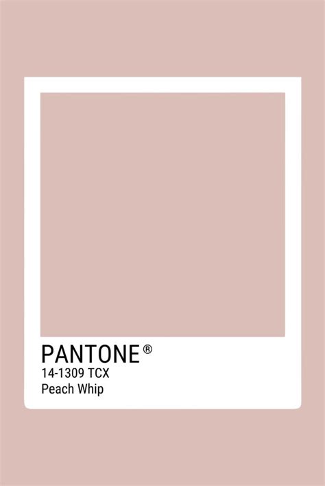 Image result for Colors in Python Program