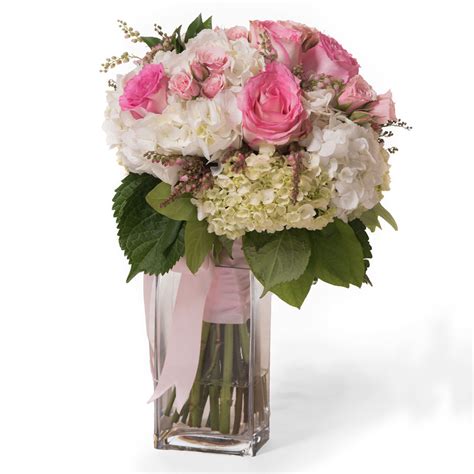 RIVER OAKS PLANT HOUSE - Updated October 2024 - 40 Photos & 25 Reviews