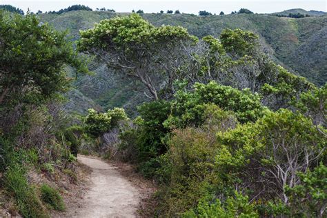sending postcards: San Pedro Valley Park | Pacifica