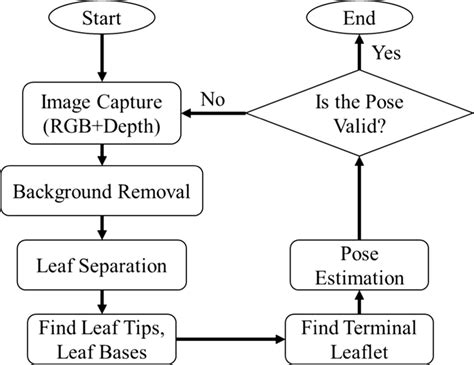 Machine Vision Module 的图像结果