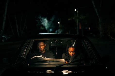 Catching Strays Definition at Toby Skene blog