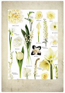 Names Of White Flowers For Wedding by White Flowers Vintage Garden Feminine Flowers Bouquets Names Of White Flowers For Wedding