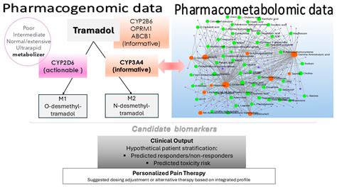 Pharmacogenomics and Pharmacometabolomics in Precision Tramadol ...
