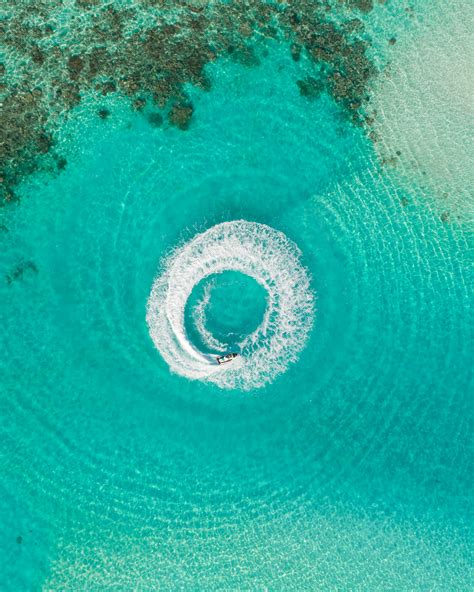 Nature Slideshow 的图像结果