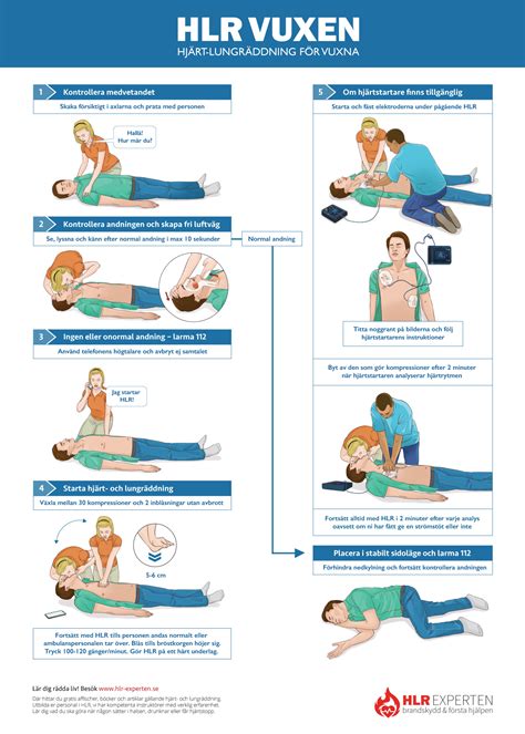 Image result for Basic CPR Steps