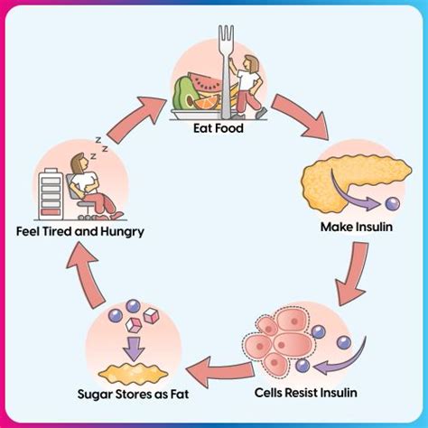 The Role of Insulin in Regulating Blood Sugar Levels - Fitterfly