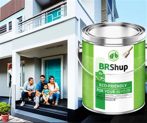 Eco Painting for Duplexes in Deepkamal Mall Area (2025)