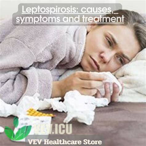Leptospirosis: causes, symptoms and treatment