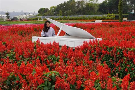 Go to Flower Market 的图像结果