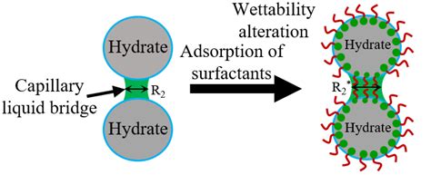 Effect of Surfactants with Different Hydrophilic–Lipophilic Balance on ...