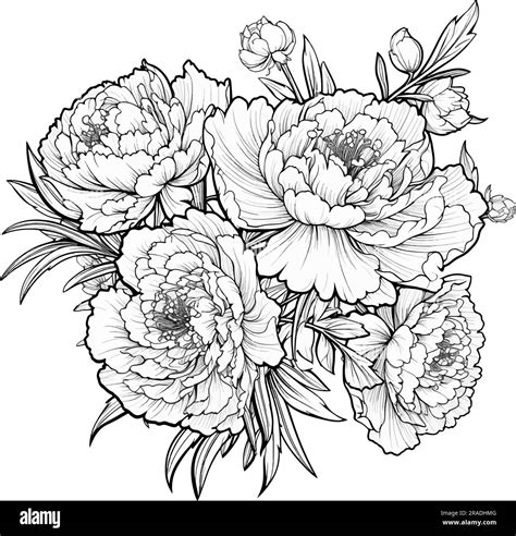 Outline Peonies Wallpaper at Blanche Carter blog - painting of peonies