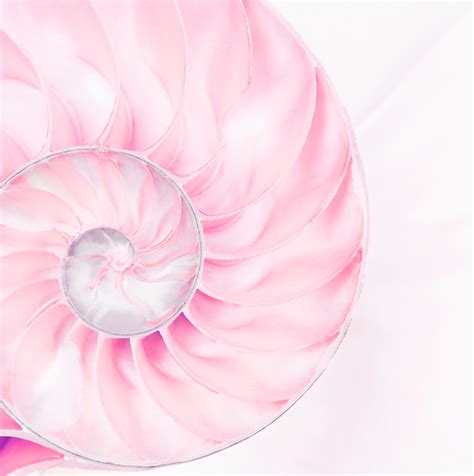 Wednesday Lunchtime Concert: Zachary Li | wesleymusiccentre