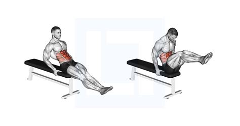 Leg Raises Exercise 的图像结果