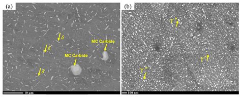 Studies on the Microstructural Evolution and Mechanical Properties of ...
