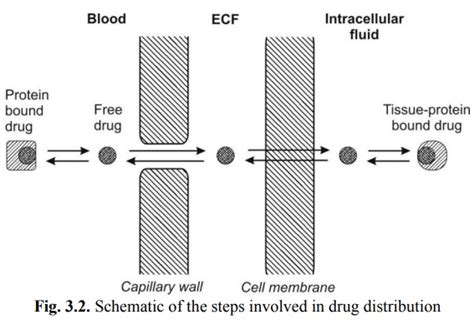 Tissue Distribution 的图像结果