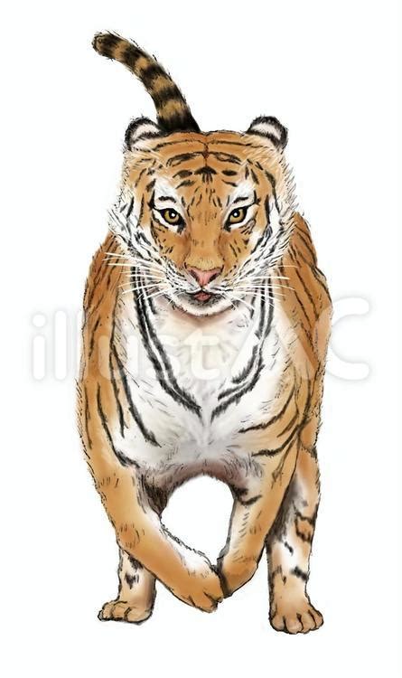 Image result for Custom CSS File