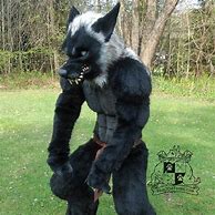 Image result for Dark Wolf Fursuit