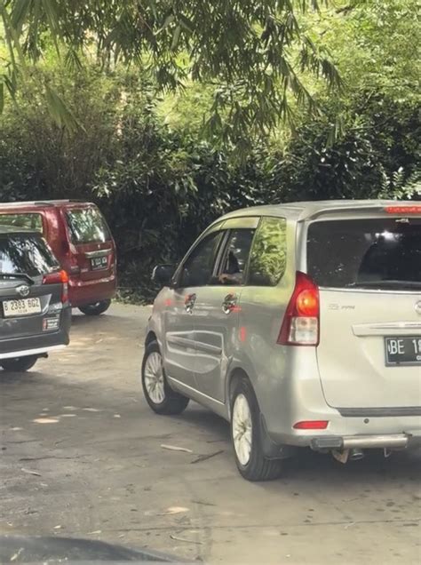 Bahaya dan Risiko: Pengunjung Taman Safari Keluar dari Mobil