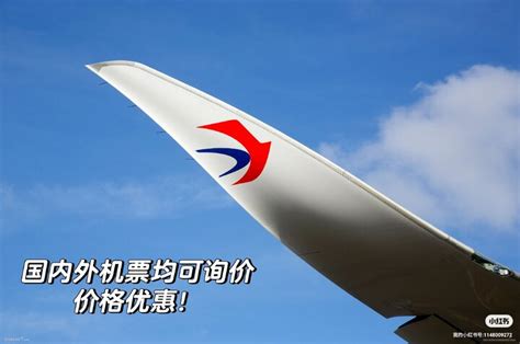 服務和網站設計都很好，下次都會在這裡繼續訂機票！