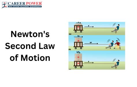 Physics Newton 的图像结果