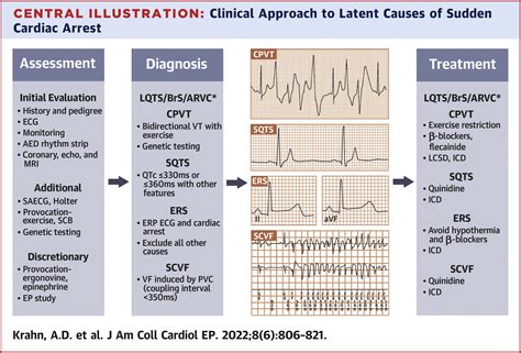 What Causes Cardiac Arrest