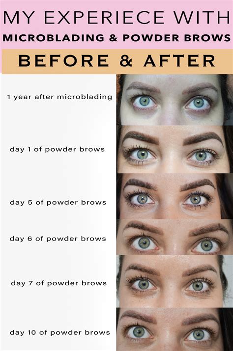 My Experience with Powder Brows (Eyebrow Tattoo) | Ombre eyebrows ...