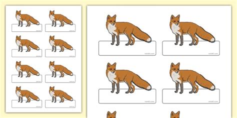 Fox Themed Registration Labels (teacher made) - Twinkl