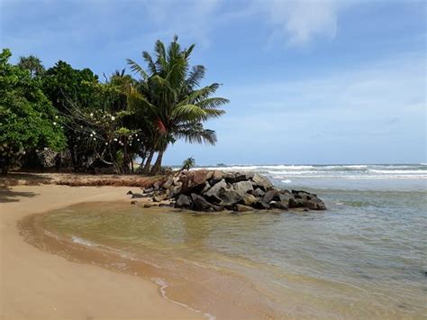 THE 10 BEST Beach Resorts in Bentota (with Prices) - Tripadvisor