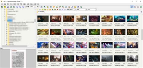 Install FastStone Image Viewer 的图像结果