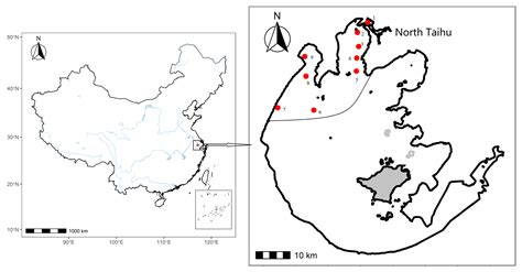 Macroinvertebrate Response to Internal Nutrient Loading Increases in ...
