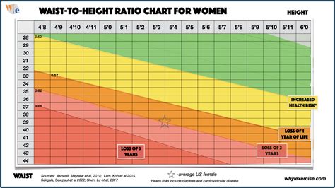 Average Japanese Woman Waist Size - Dibujos Cute Para Imprimir