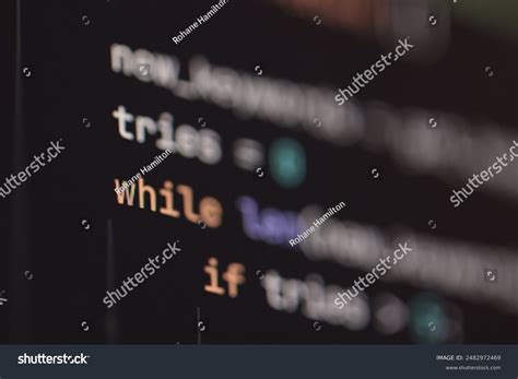 Computer Programming Languages Bucle 的图像结果
