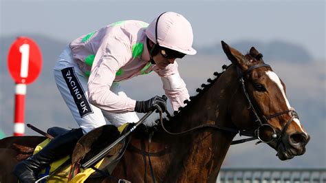 Cheltenham Festival winner Vautour dies after accident | Racing News ...
