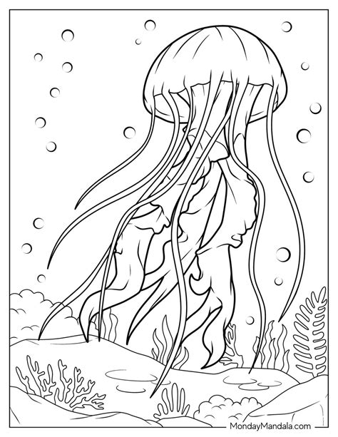 Jellyfish Coloring Page