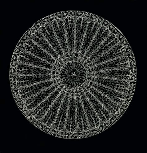 Geometry and Pattern in Nature 3: The holes in radiolarian and diatom ...