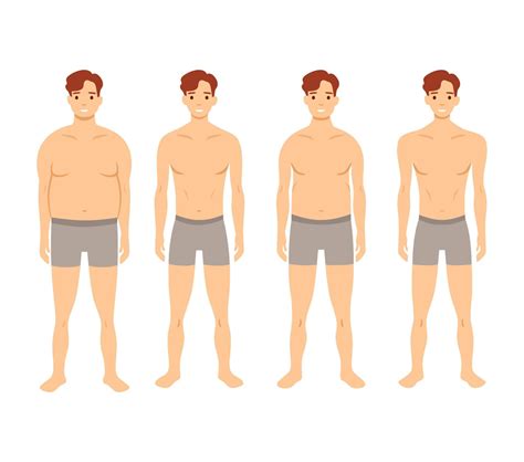 Human body shapes. Male figures types set. Vector illustration 8384940 ...