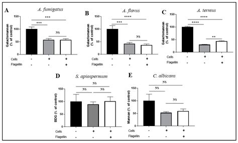 Effect of Flagellin Pre-Exposure on the Inflammatory and Antifungal ...