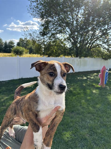 Ozaukee Humane Society in Grafton, WI