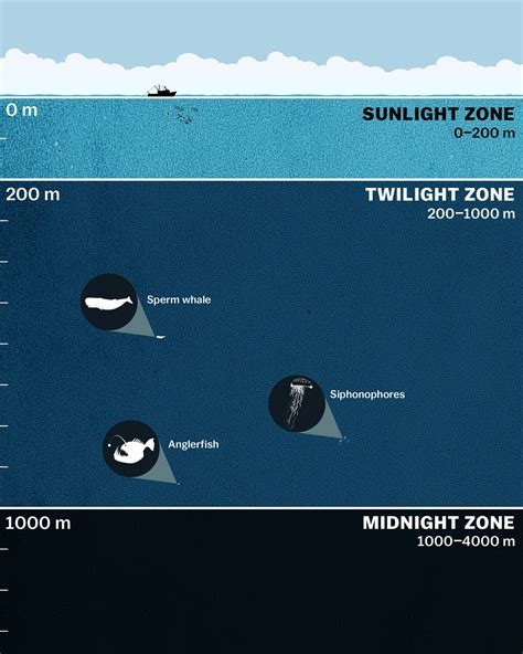 9 ocean mysteries scientists haven’t solved yet | pinoyexcel.com