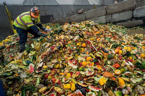 Food Waste 的图像结果