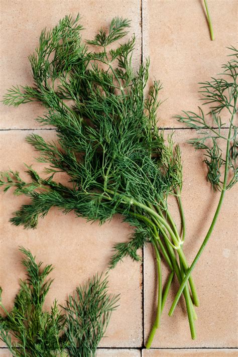 35 Best Substitutes For Dill (Fresh And Dried Ideas) - Raepublic