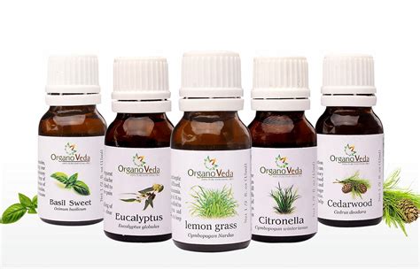 OrganoVeda Basil+ Eucalyptus+ LemonGrass+ Citronella+ Cedarwood ...