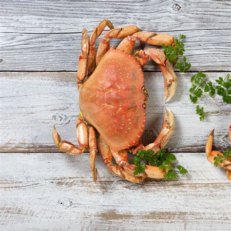 Storing Dungeness Crab Legs: Tips to Keep Them Fresh and Delicious