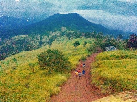 Nature Lovers - Reviews, Photos - Kodikuthimala - Tripadvisor